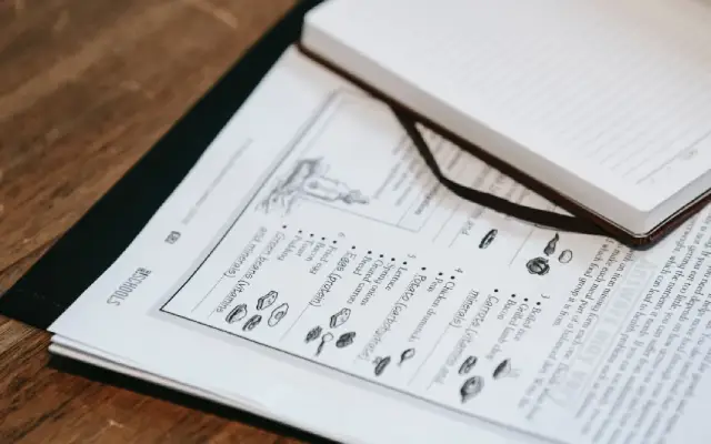 Kata Sisipan dalam Bahasa Inggris