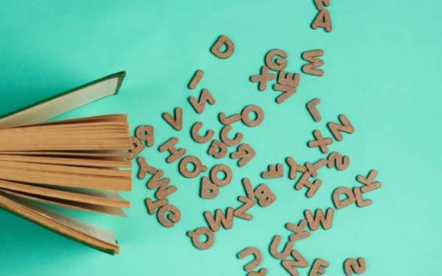 aturan penggunaan the dalam bahasa inggris