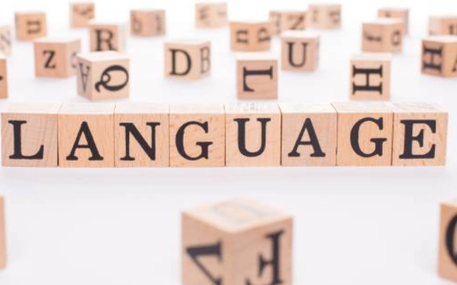 contoh kalimat command dalam bahasa inggris