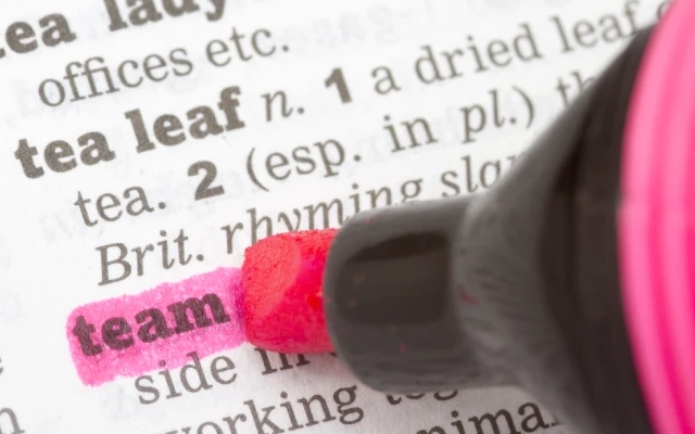 contoh kalimat irregular verb