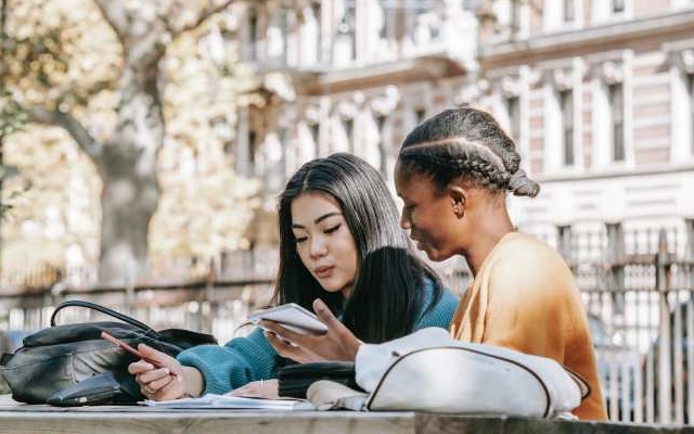 ini minimal ielts score in new zealand