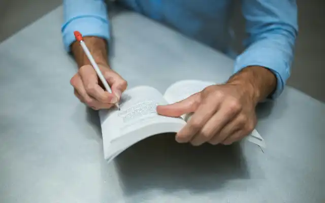 Daftar Kata Benda Bahasa Inggris Awalan P