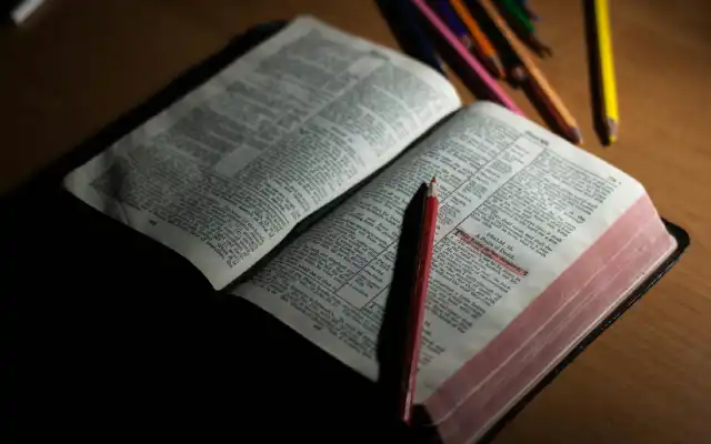 Panduan Lengkap Belajar Rumus Past Perfect Progressive